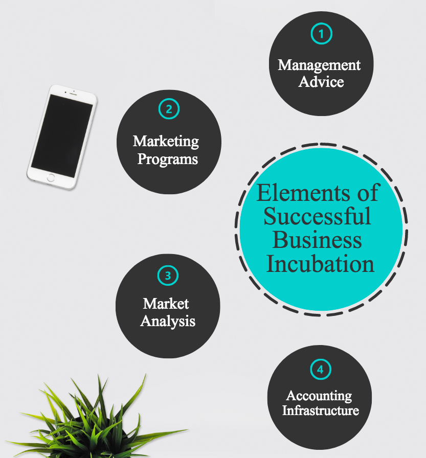 Successful elements of business incubation